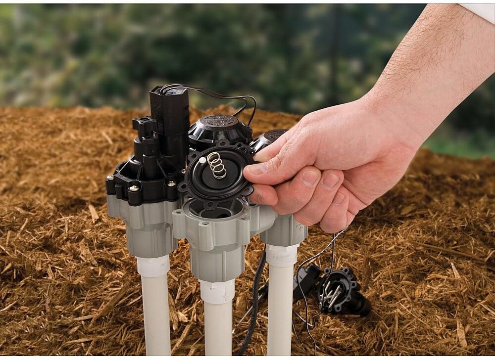 Rain Bird DASASVF100 Professional Grade Anti-Siphon Valve with Flow Control, 1" Threaded Female x Female