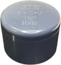 ERA End Cap SCH80 10 Pack