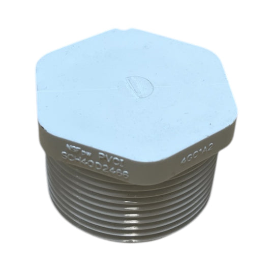 PVC Plug Sch40 MPT