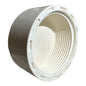 PVC Thread plug Sch40 FPT