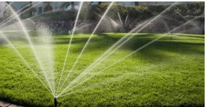Hunter PGP-00 Ultra Shrub Rotor Sprinkler Head – No Check Valve (No Pop-Up)